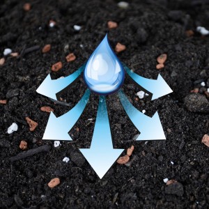 Westland Bonsaierde: Wasserverteilung im Boden mit Pfeilen dargestellt.