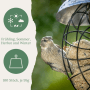 Spatz frisst Orni Meisenknödel mit Insekten ohne Netz aus Futterspender. Ganzjahres-Wildvogelfutter.