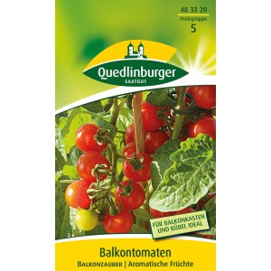 Quedlinburger Tomaten 'Balkonzauber' Samen mit reifen, roten Tomaten an der Pflanze.