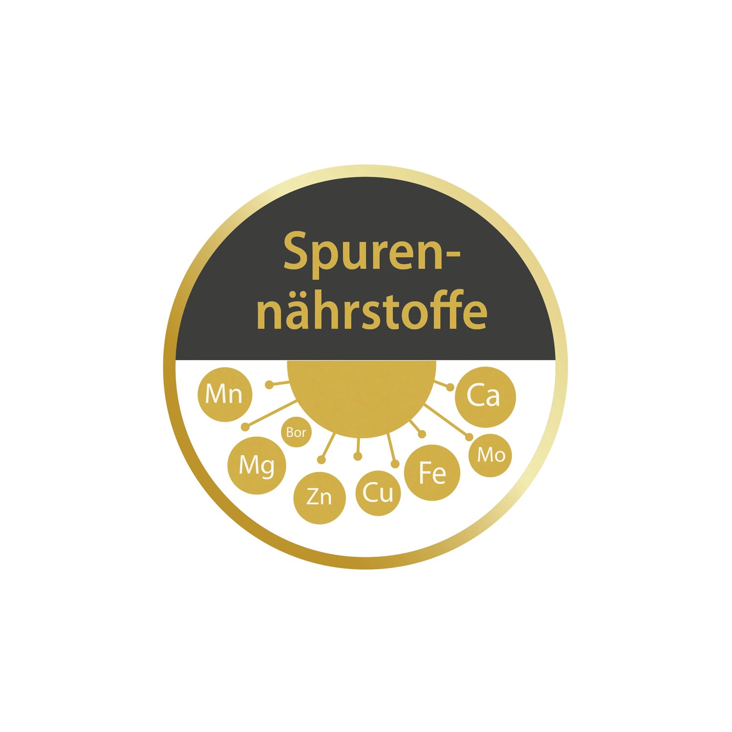 Compo Rasen Fit+ 1 x 20 l kaufen bei OBI