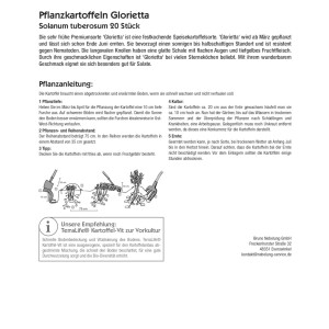 Kiepenkerl Pflanzkartoffel Glorietta, 20 Stück. Saatkartoffeln für den Anbau im Garten.