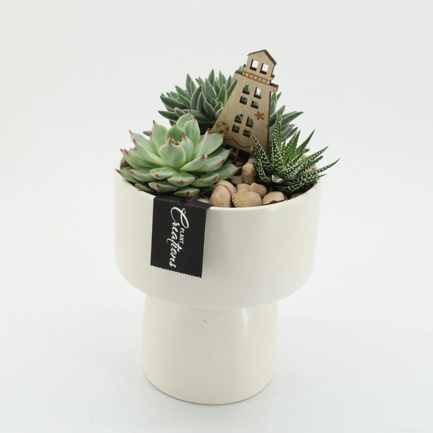Sukkulenten-Arrangement im Keramik-Gefäß Topf-Ø ca. 16 cm kaufen bei OBI