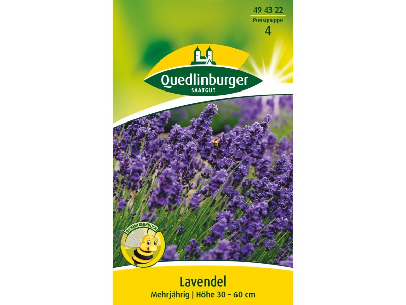 Quedlinburger Lavendel kaufen bei OBI