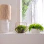 Weiße Artevasi San Remo Schale (Ø 23 cm) mit Pflanze, neben Lampe und weiterer Pflanzschale.