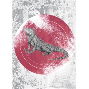 Komar Wandbild Iguana Circle, 50x70 cm. Graue Echse vor rotem Kreis auf floralem Hintergrund.