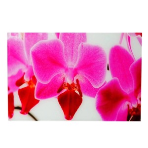 Glasbild mit pinkfarbenen Orchideen, 40x60 cm, Deko für Wohnraum.