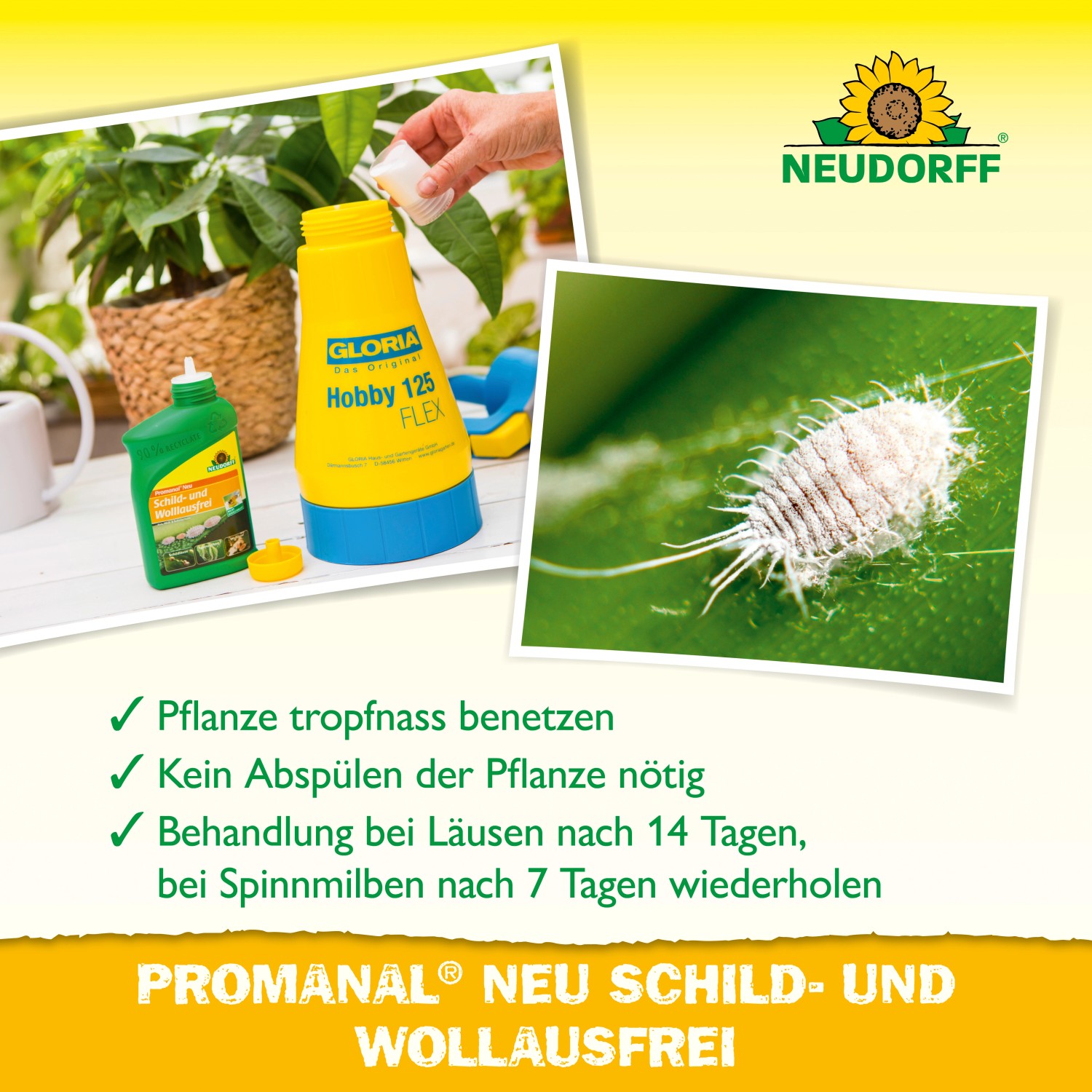 Neudorff Promanal Neu Schild- und Wolllausfrei 250ml: Anwendungsbeispiel mit Sprühflasche und Detailaufnahme einer Schildlaus.