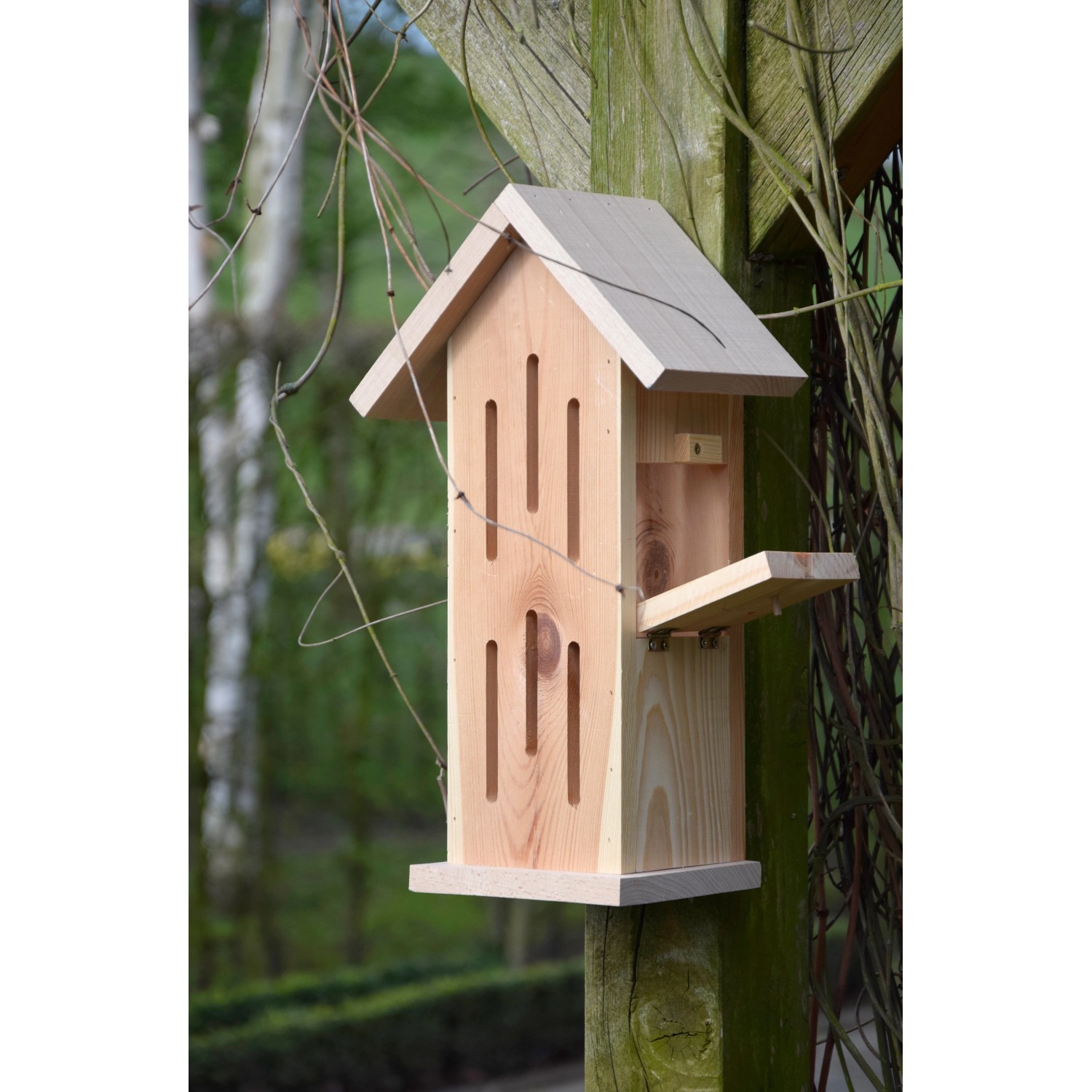 Helles Holz Schmetterlingshaus Sonnenfalter mit Anflugstationen zum Aufhängen oder Aufstellen.