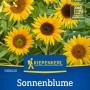 Sonnenblumen Majestic Mischung Saatgut von Kiepenkerl mit gelben Blüten und dunkler Mitte.