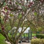 Halls Gewächshaus Garden Room Grün 12,9 m² im Garten unter einem Baum mit roten Früchten.