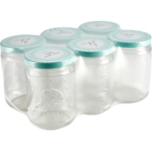 6er Pack Einmachgläser 390ml mit mintfarbenen Schraubdeckeln für Marmelade und Co.