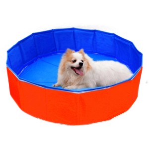 Hund liegt entspannt im blauen/orangen Heim Outdoor-Dog-Swimming Pool (80x20cm).