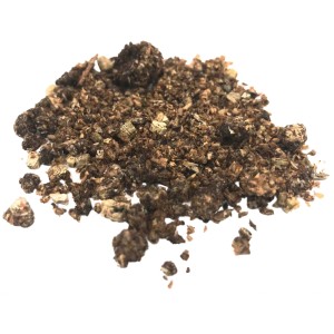 Biohelp Raubmilben gegen Thripse, Trauermückenlarven und Nematoden, 5 Tsd. Nützlinge.