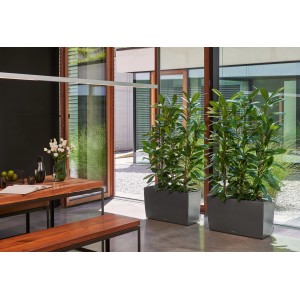 Lechuza Cararo Premium Pflanzkübel, 75 cm, Anthrazit metallic, mit Pflanzen als Raumteiler.