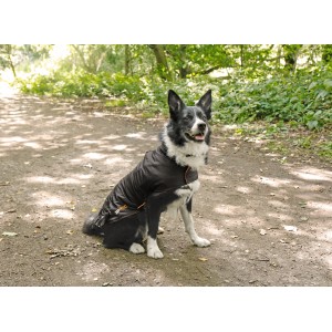 Schwarzer Heim RAC Regenmantel für Hunde (Größe M, Rückenlänge 41 cm).