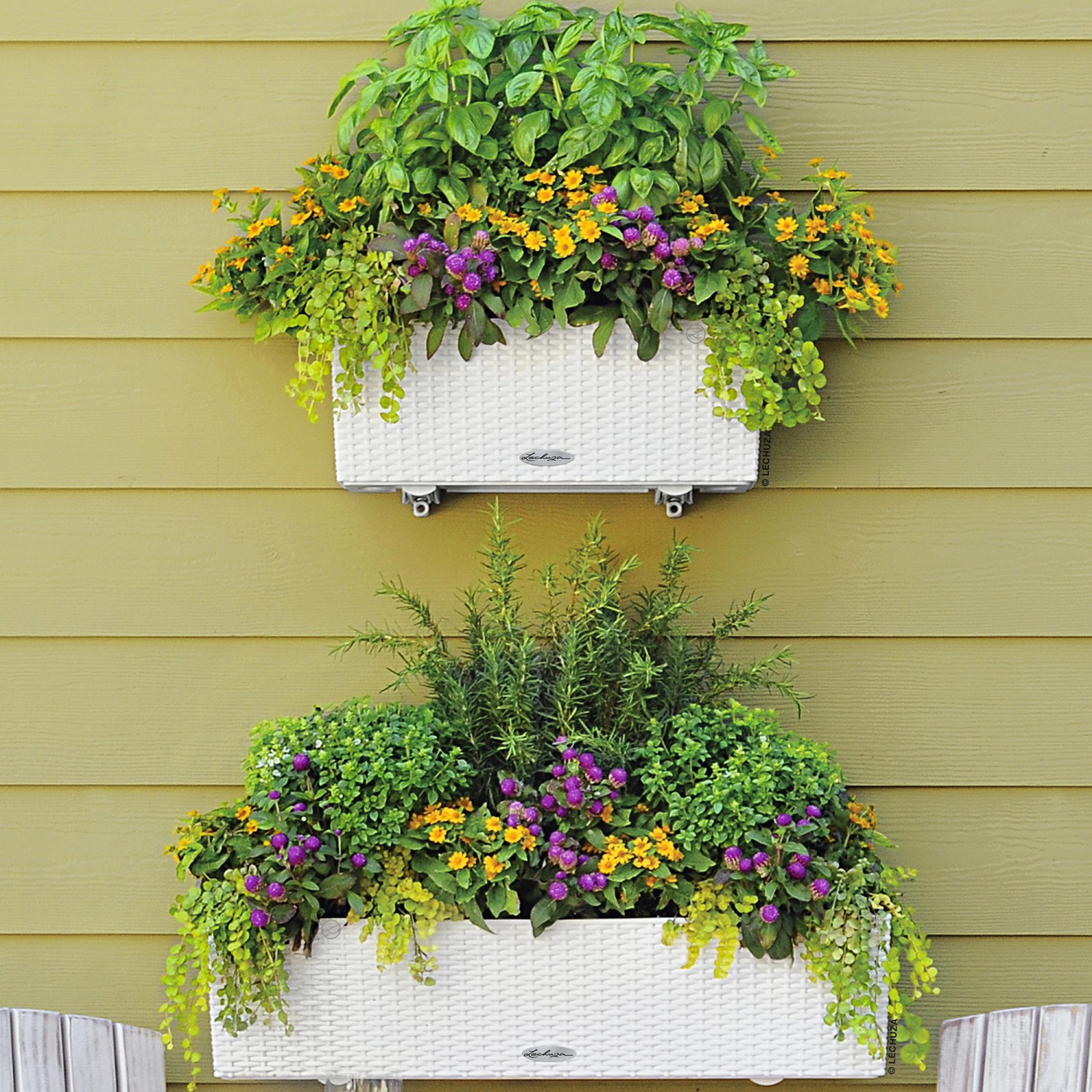 Zwei bepflanzte, weiße Lechuza Balconera Cottage 80 Blumenkästen an einer Wand.
