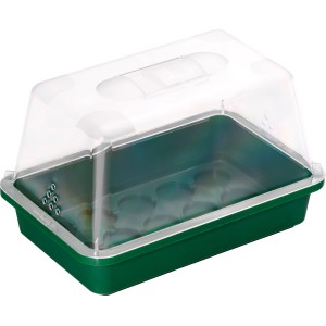 Grüne Fensterbank Gewächshaus-Schale mit transparentem Deckel, 29x19x6 cm, für Pflanzenanzucht.