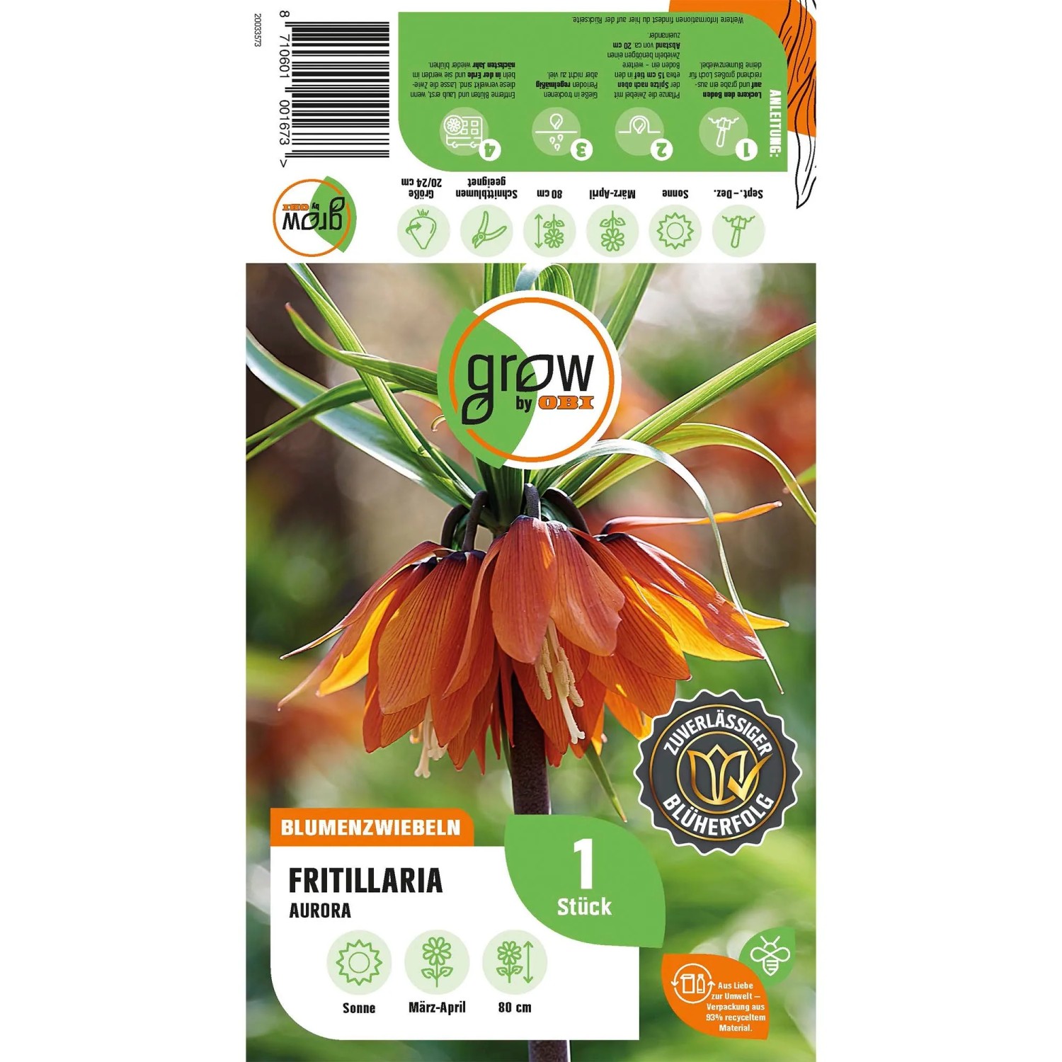 GROW by OBI Kaiserkrone Aurora, orange Fritillaria imperialis Blumenzwiebel, 80 cm hoch.