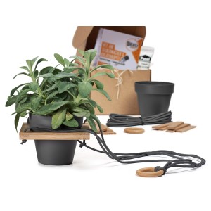 DIY Hängeampel Set von CREATE! by OBI mit Pflanze, Töpfen, Holzleisten, Schnur und Anleitung.