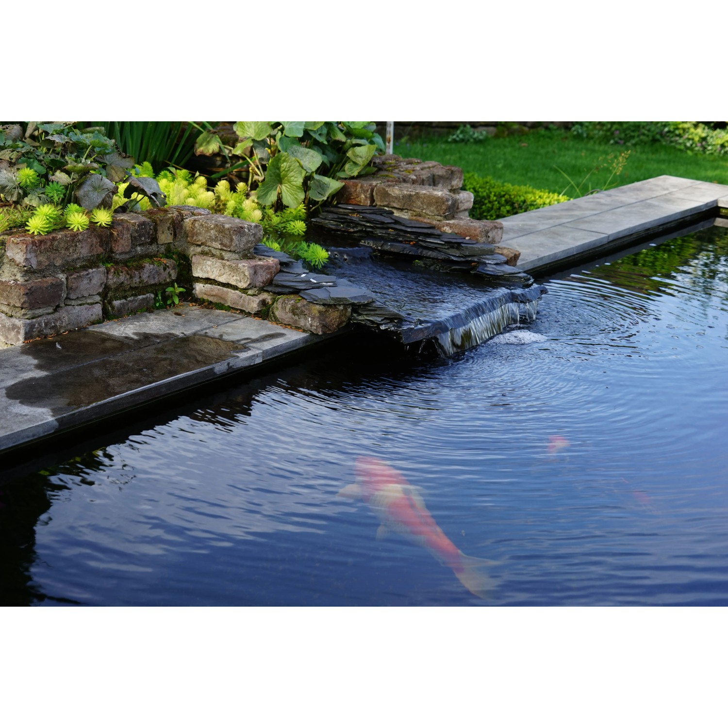 Teich mit Wasserfall und Koi-Karpfen. Ideal für Ubbink Smartmax Teichpumpen & Filter.