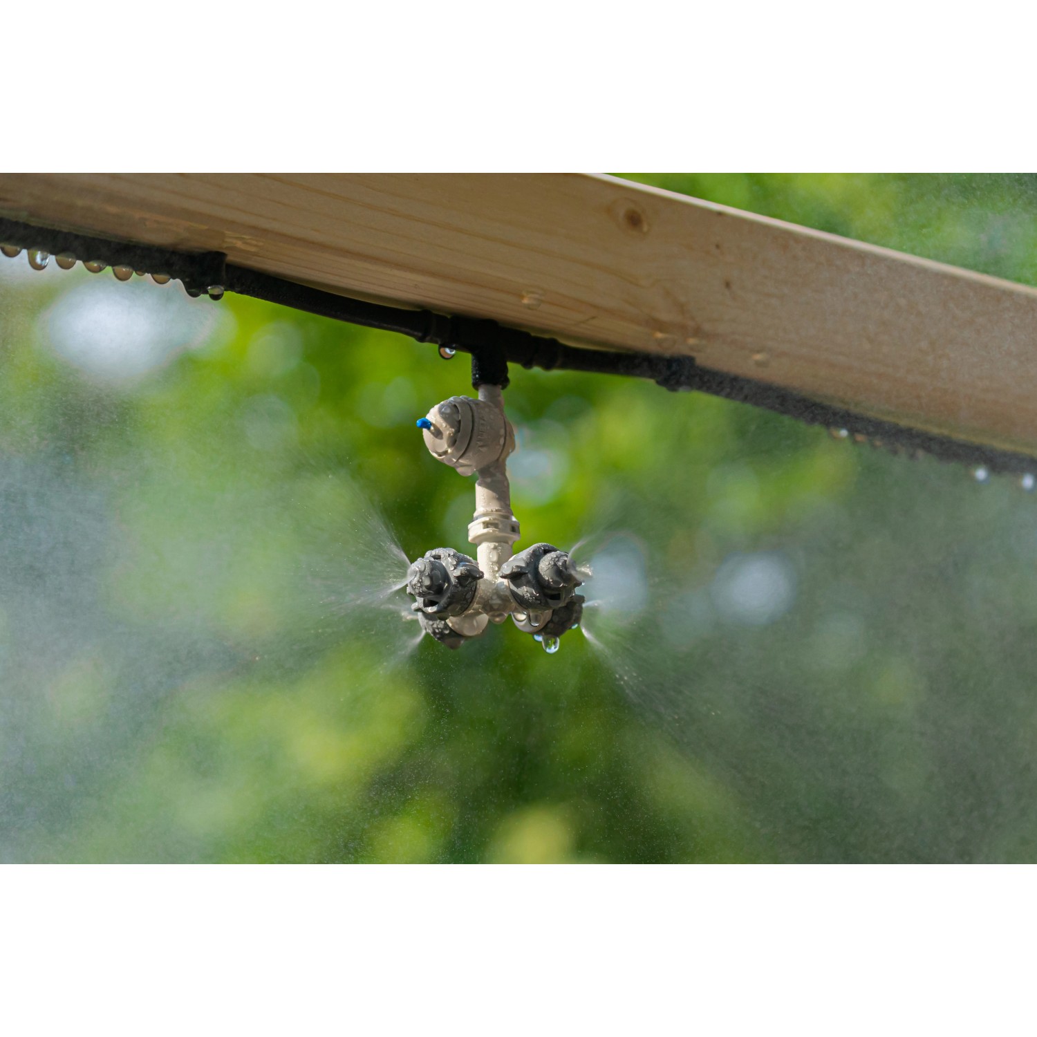 Elgo Dunstkühlung im Einsatz: Sprühnebel zur Abkühlung und Erhöhung der Luftfeuchtigkeit.