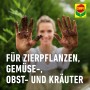 Compo Bio Universal-Erde torffrei 20 l_5