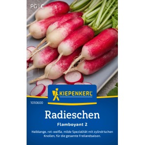 Kiepenkerl Radieschen Radies "Flamboyant 2"