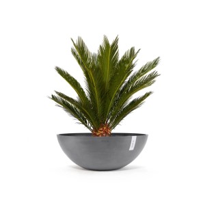 Grauer Ecopots Pflanztopf Vienna, 70 cm, mit Pflanze. Ideal für Innen- und Außenbereiche.