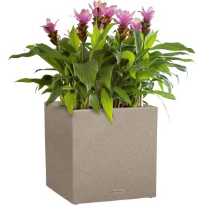 Lechuza Canto Stone Pflanzgefäß, sandbeige, 40x40cm, mit pinken Pflanzen.