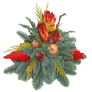 Urnengrabgesteck mit roter Deko, Nobilistanne und Konifere, ca. 30 cm.