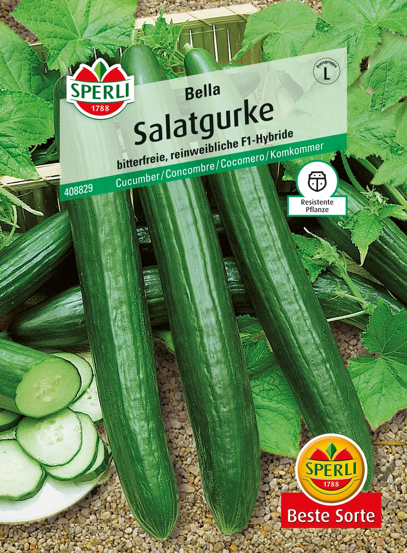 Sperli Salatgurken "Bella" F1Hybride kaufen bei OBI