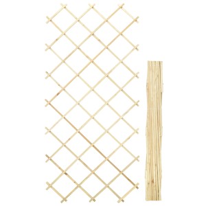 Scherenspalier, 100x200 cm, druckimprägniert, Rankhilfe für Garten.