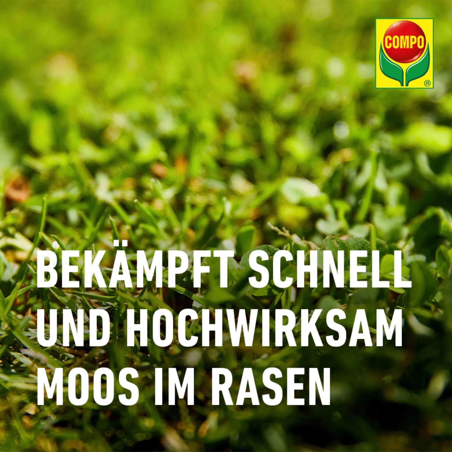 Compo Bio Rasen Moosfrei Herbistop 500 ml kaufen bei OBI