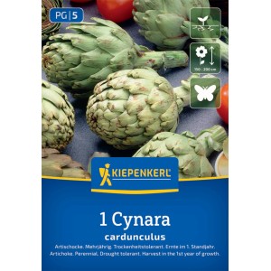 Kiepenkerl Artischocke Cynara cardunculus