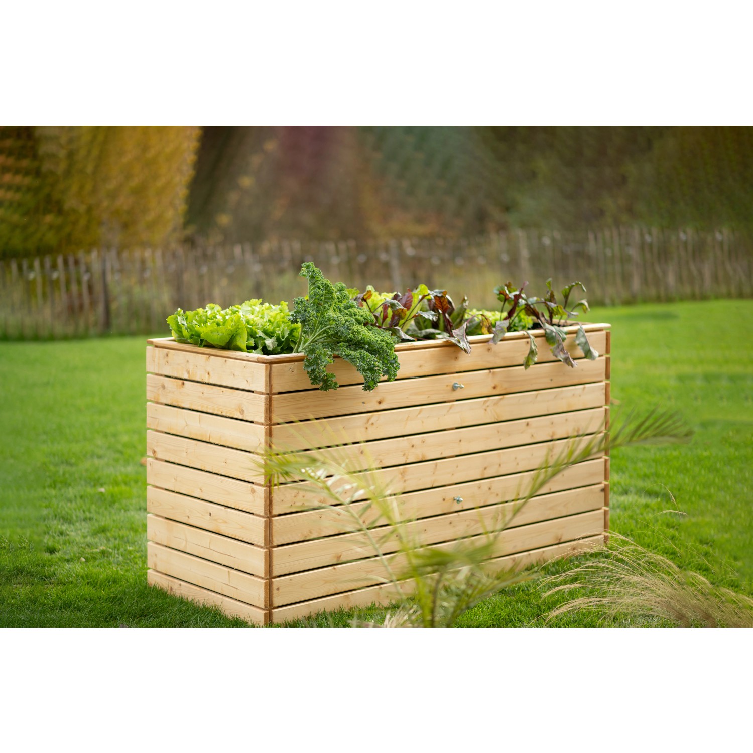 Westmann Hochbeet XL aus Fichte, bepflanzt mit Salat und Gemüse im Garten.