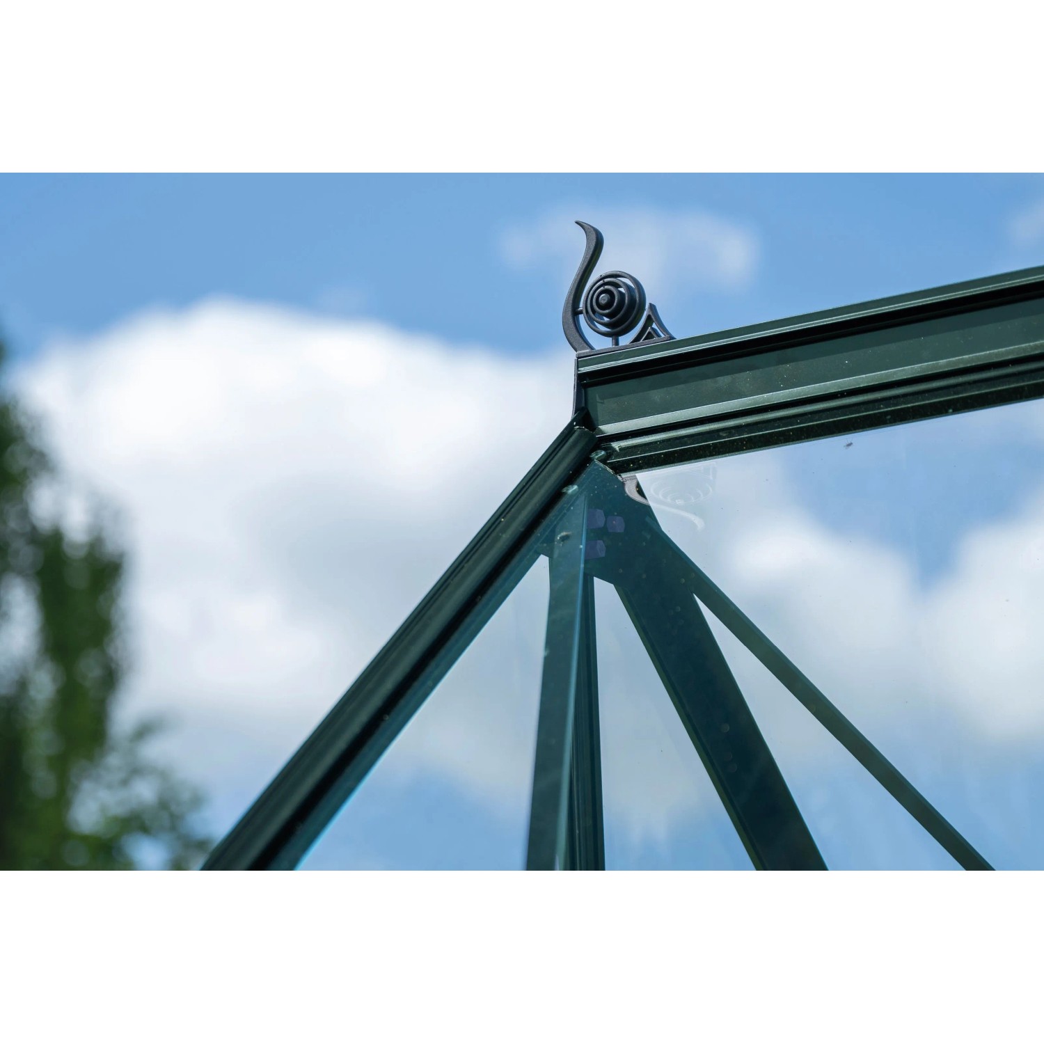 Halls Gewächshaus Icon 8 Grün 9,7 m²_5