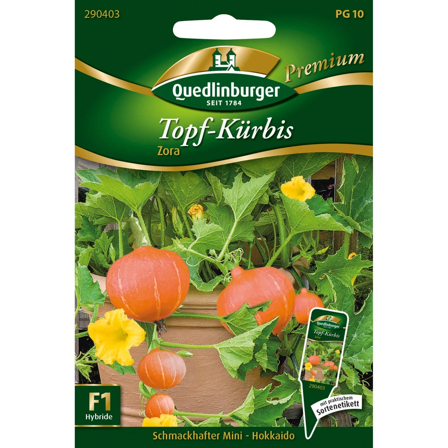 Hokkaido Krbis Pflanzen Im Topf