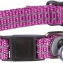 Lila Jollypaw Katzenhalsband aus Nylon mit Adresslasche und Reflektor.
