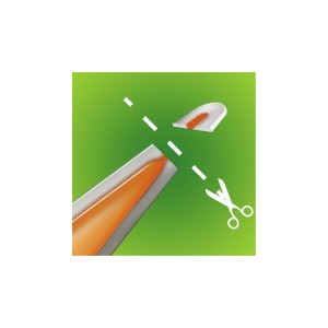 Compo Bio-Grünpflanzen-Aufbaukur 30 ml