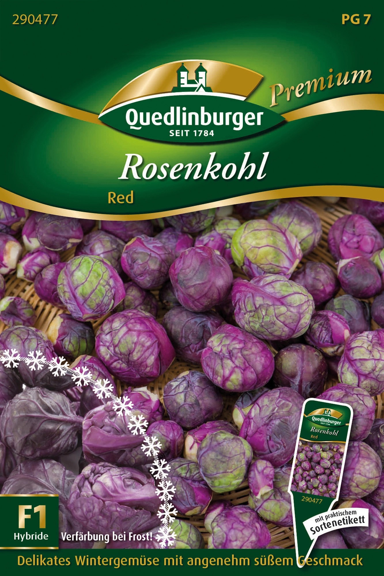 Quedlinburger Rosenkohl ''Red'' Violett kaufen bei OBI
