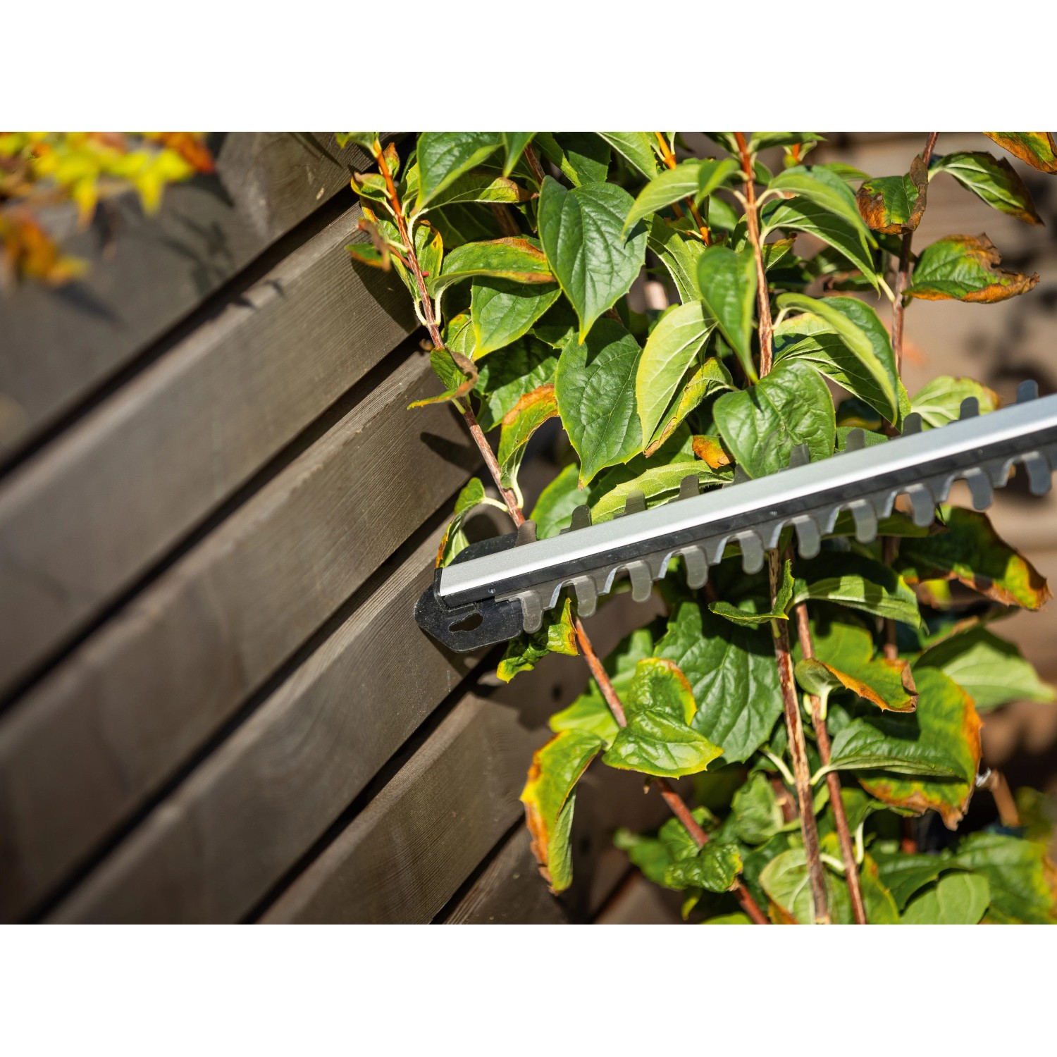 LUX Akku-Heckenschere beim Schneiden einer Hecke. Inkl. Akku und Ladegerät.