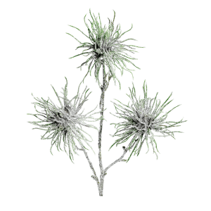 DPI Hamamelis-Zweig, 44 cm, silber-grün, Kunstzweig für Winterdeko und Girlanden.