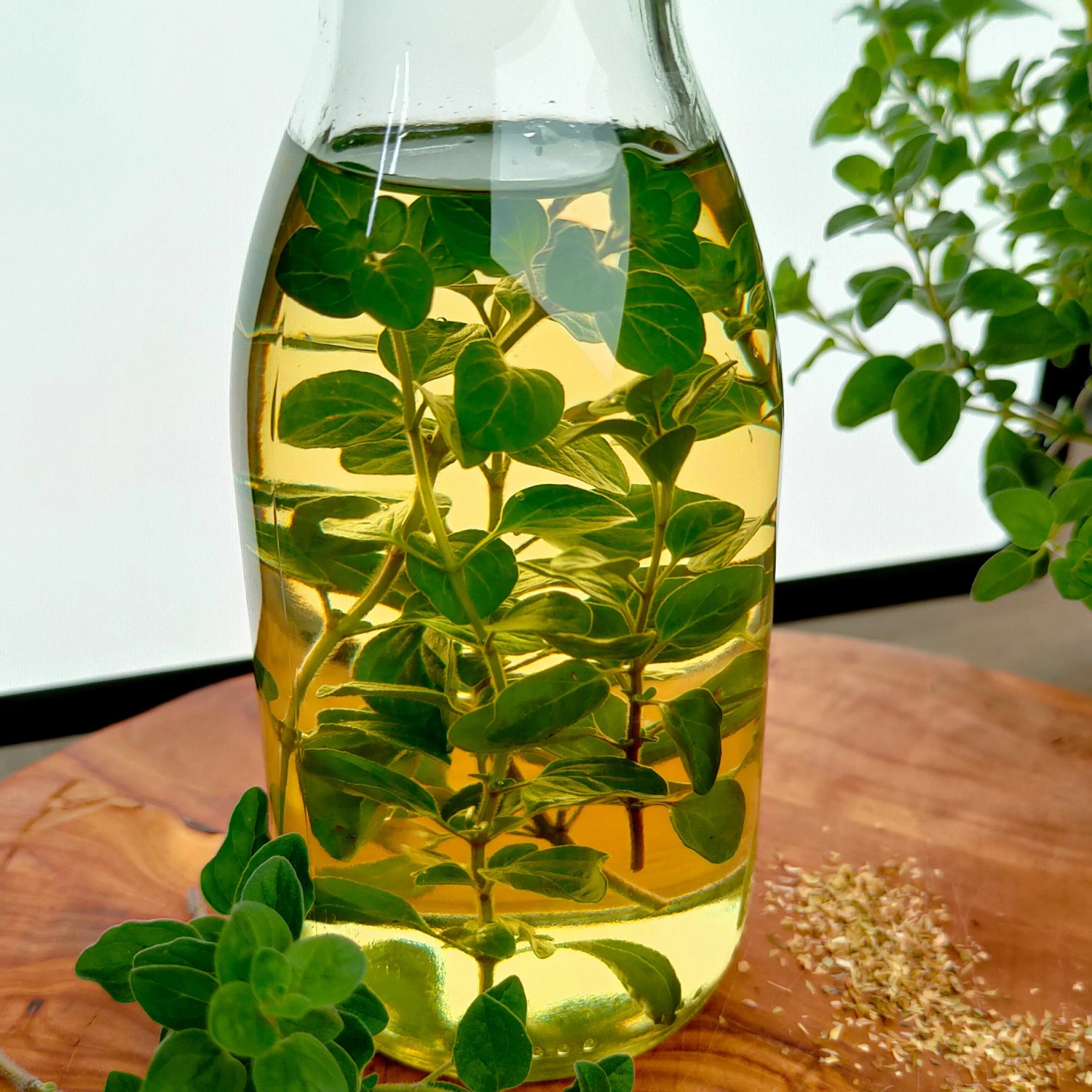 Blu Bio-Oregano im Glas mit Öl, frischer Oregano auf Holzbrett. Küchenkräuter für mediterrane Küche.