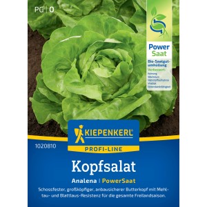 Kiepenkerl Kopfsalat Analena Samen, widerstandsfähige Sorte für den Anbau im Freien.