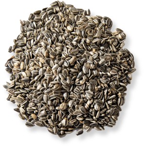 Ungeschälte Papst Sonnenblumenkerne, Streufutter für Wildvögel, 5kg.