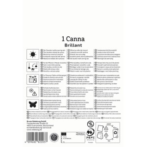 Kiepenkerl Blumenzwiebeln Blumenrohr Brillant