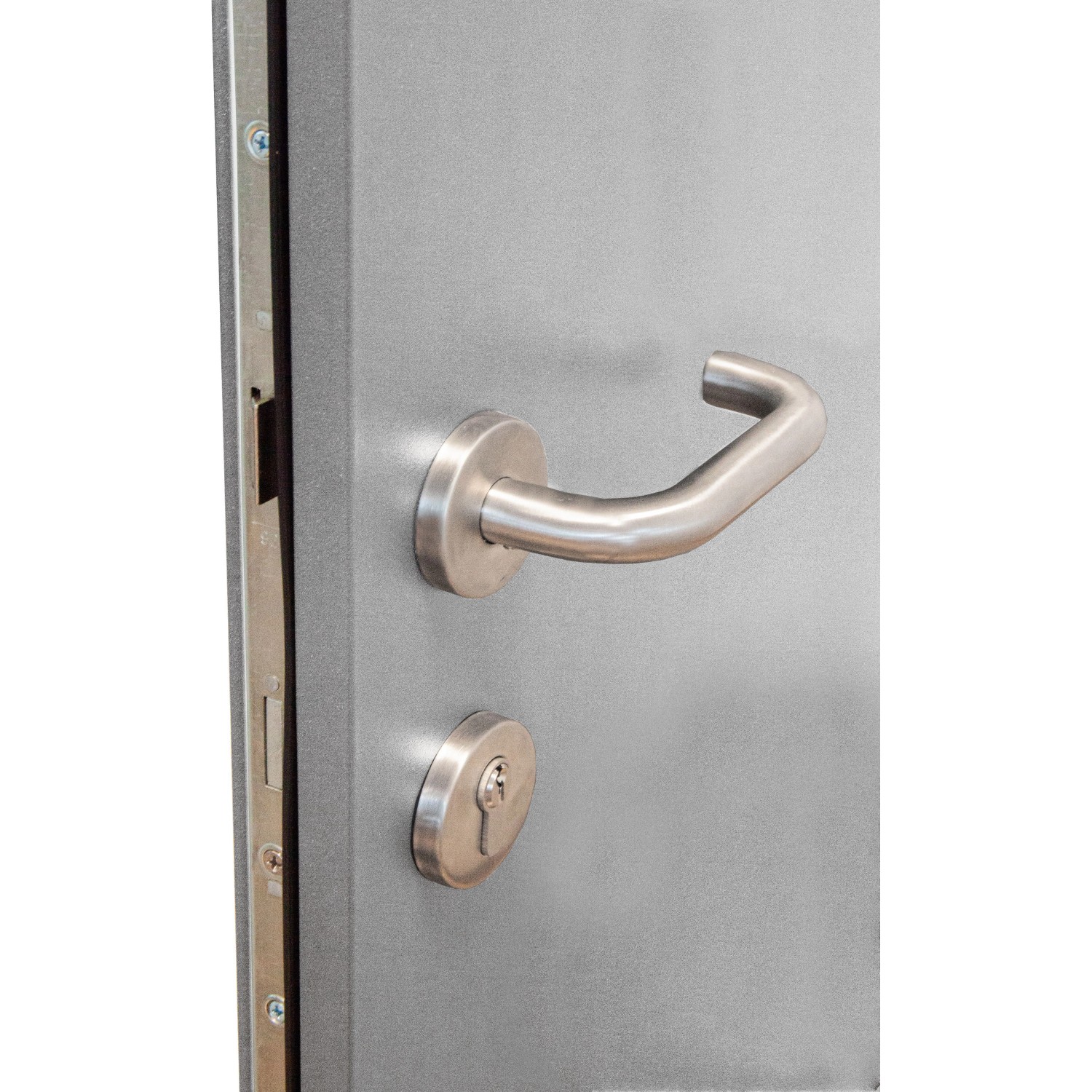 Detailaufnahme: Graue Sicherheits-Haustür Palermo RC2 mit Edelstahl-Drücker und Schloss.