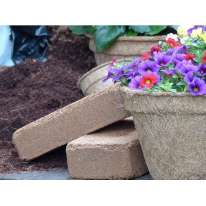 Proflora Kokosziegel, torffreie Blumenerde mit Kokosfasern und bepflanztem Topf.