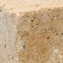 Diephaus Mauerstein Maximo Brista Muschelkalk, 42x21x12,5 cm, Detailansicht der Oberfläche.