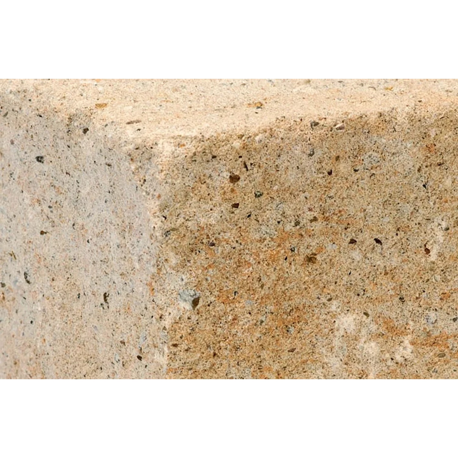 Diephaus Mauerstein Maximo Brista Muschelkalk, 42x21x12,5 cm, Detailansicht der Oberfläche.